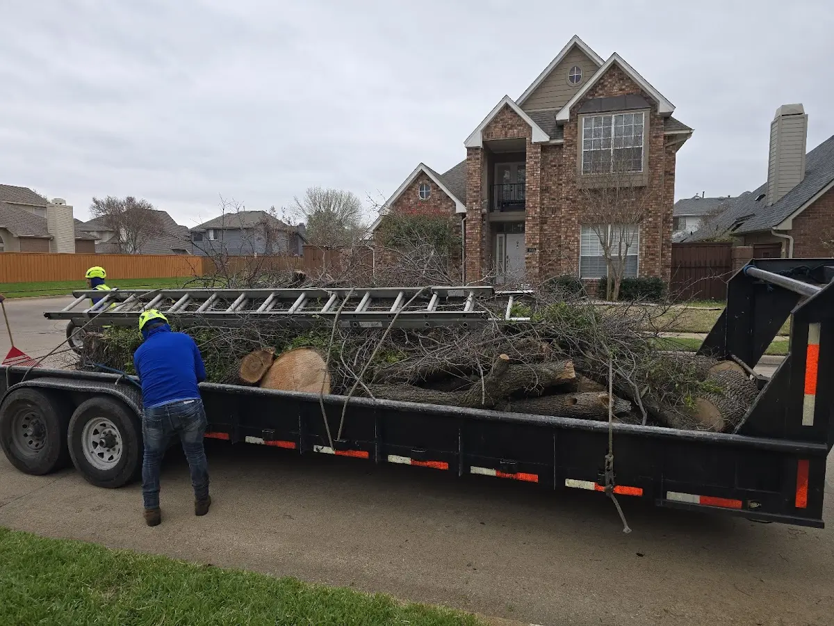 Expert Tree Pest Control with proper safety equipment in Stetsonville